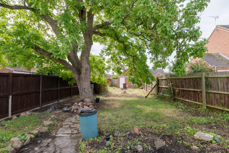 20 garden