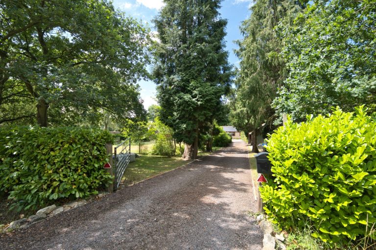 47 entrance drive.jpg EDITED 2