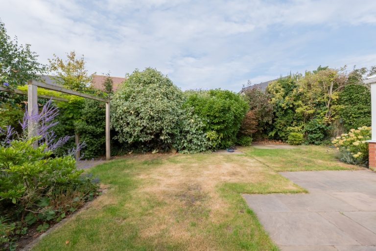 29 garden (Large)