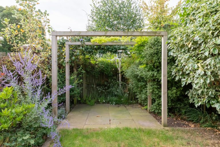 30 garden (Large)