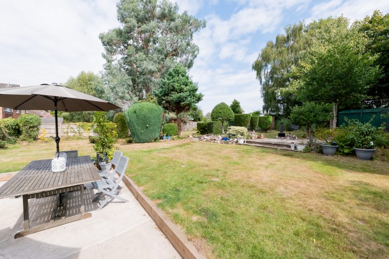 55 garden