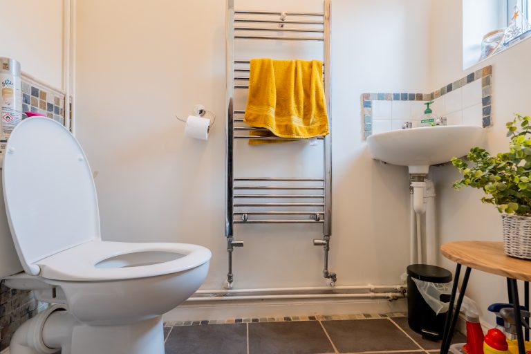 06 ds toilet (1)