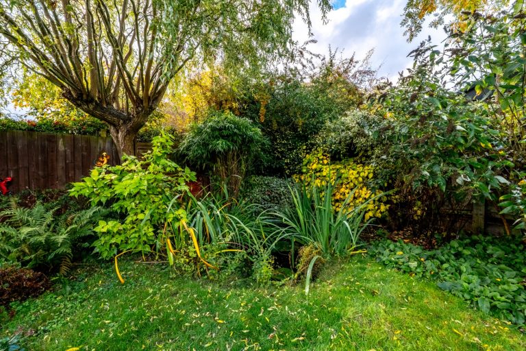 39 garden pond (Rightmove)