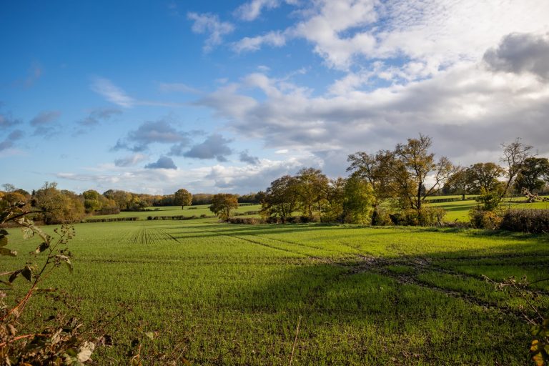 Final-14 (Rightmove)