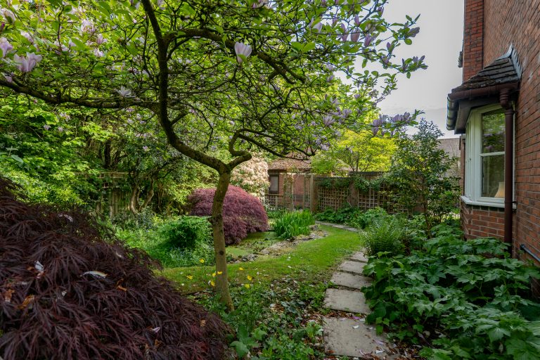 37 garden