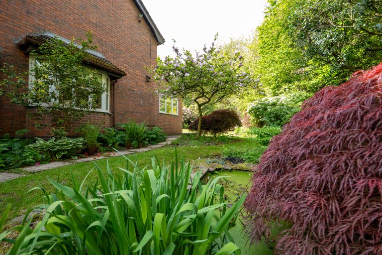 41 garden
