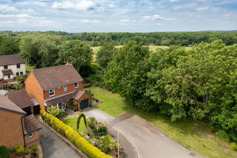 Drone1 (Rightmove)